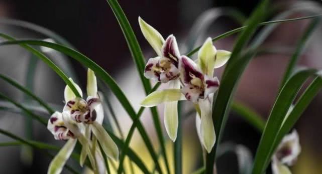 金牛座▲明天起,喜事成双来,4月下旬天上掉财、地上生金,4生肖横财上涨,好事成双,天天开口笑不停!