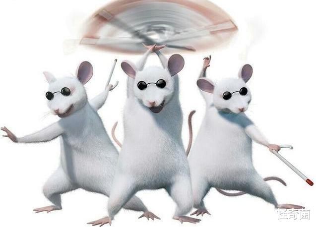 『』地球含氧量瞬间翻一倍会怎样？五种可能情况，每个都让人害怕