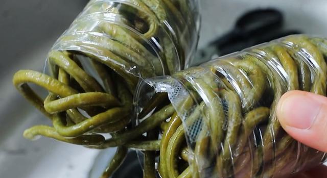 |矿泉水瓶子腌酸豆角，这是我用过最好用的方法，酸的正宗还不坏