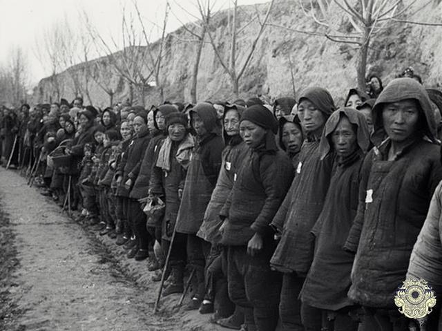 蒋介石▲1942年河南大饥荒老照片:图3正在啃树皮,蒋介石看完照片腿发抖