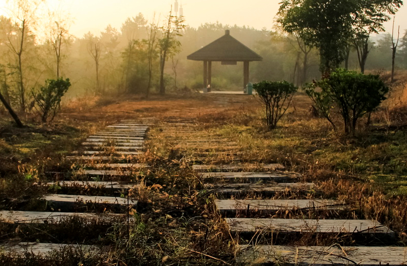 「」二本低分就能读的公立大学！这4所大学收分低，最适合低分考生！
