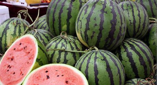 【西瓜】这种西瓜别再吃了，等于吃“细菌”，很多人不知道，赶紧告诉家人