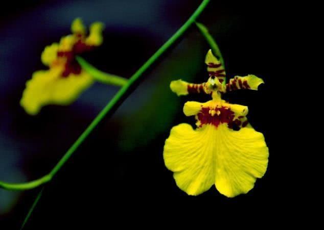 生肖|10月开始，被好运包围，财运飙升，名利兼得的四大生肖