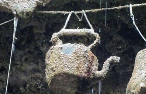 @世界上“最怪”的泉水,东西扔进去就变石头,至今仍是未解之谜!