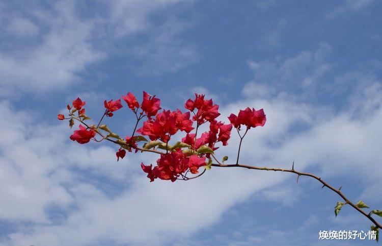 旧爱|九月上旬,走出情伤,遇见真爱的4大星座,放下了“旧爱”!