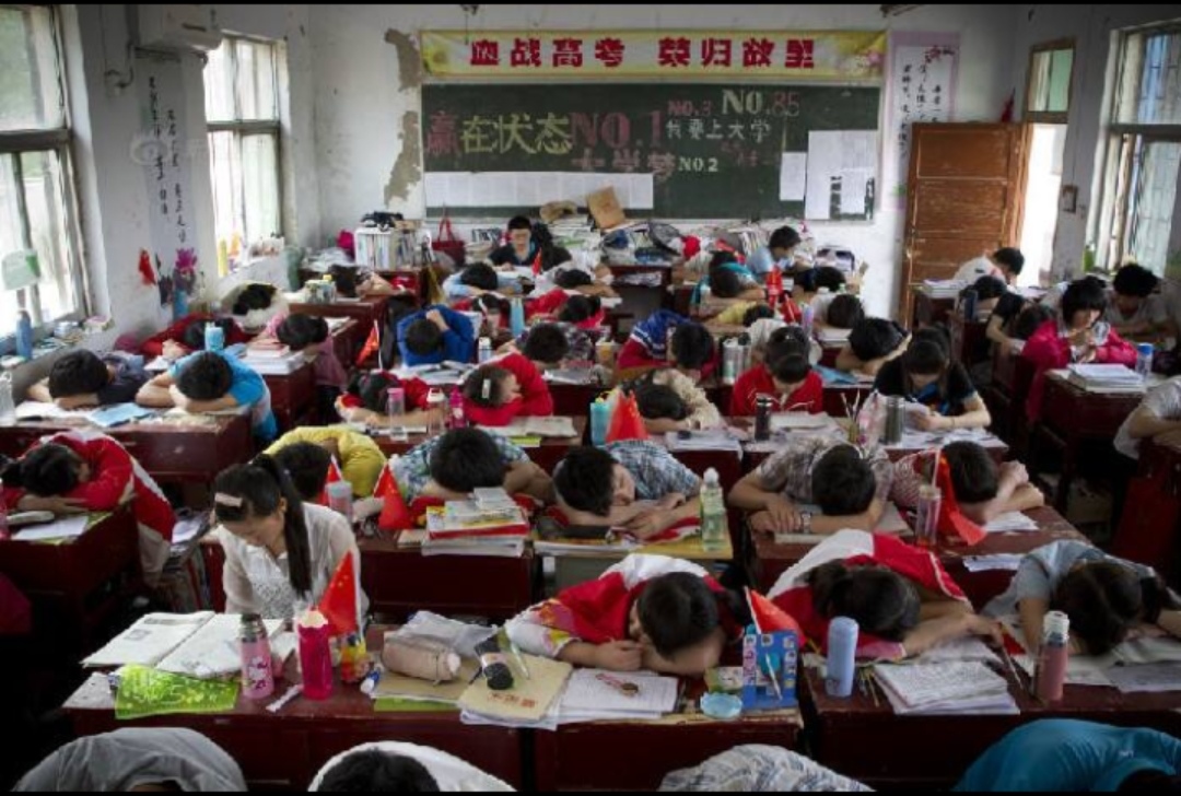 「中考」教育部已批准,两所“新”本科院校诞生了!但高考生却不乐意报考