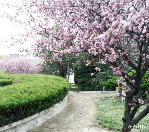 |文科生理科生哪个更容易拿到铁饭碗，哪一个更容易有较高的薪资？