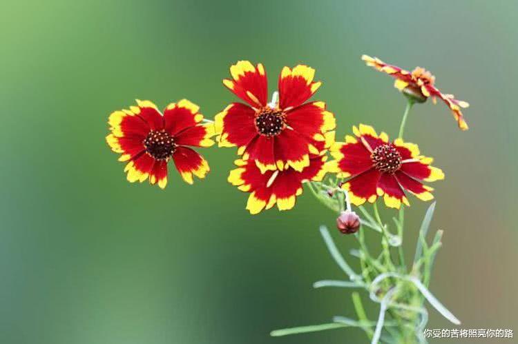 运势▲6月下旬开始财运一路旺，事业宏图大展，富贵不离身的4大属相