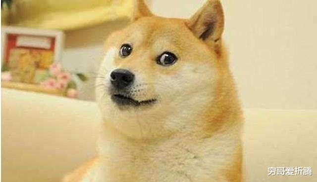 固态硬盘|固态硬盘不要分区？480g固态也不分区？