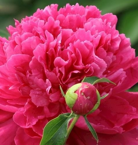 属马|9月中旬，4属相有贵人相助，如鱼得水，步步高升，好运围绕