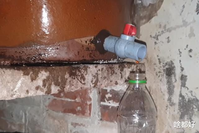 鱼露|大娘把鱼扔进缸里，不杀也不洗，3个月后，全家人都吃“嗨”了