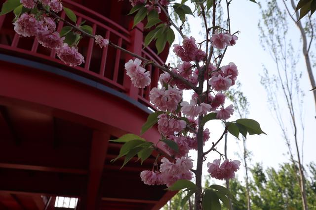 「北海公园」石家庄南水北调的翠屏湿地公园，可眺望巍峨太行，可俯瞰市区风貌