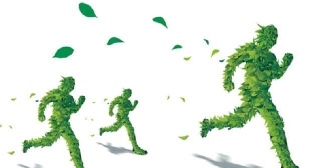 电子商务|穷人翻身的机会来了？马云看好的3个行业，明年或成“新风口”