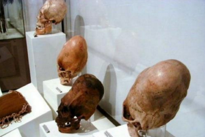 骆驼|墨西哥发现奇怪头骨,一半DNA不属于人类,他是什么?