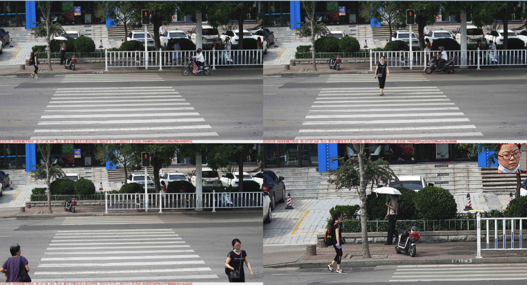 大众网泰安|泰安这些人闯红灯被曝光！这样露脸真的好难堪呀！