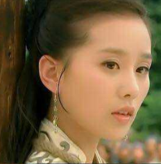 [刘嘉玲]刘诗诗的23部剧，《步步惊心》上榜，看过10部以上的都是真爱