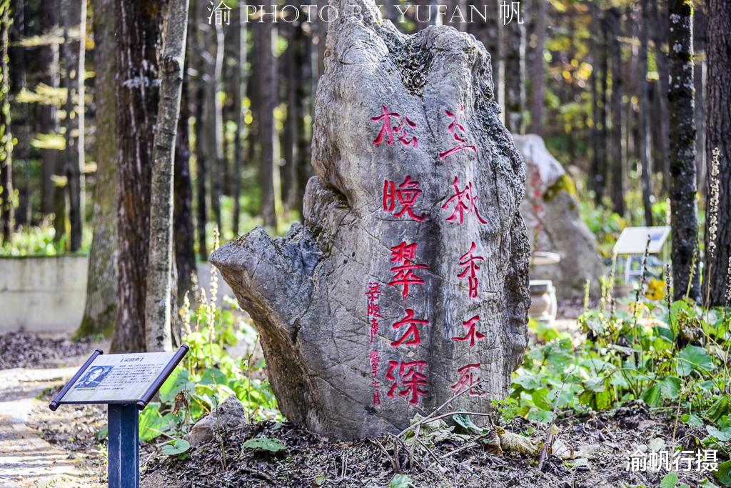 |中原最高峰下有片作家题词林，大伽云集龙飞凤舞，唯方芳的最特别