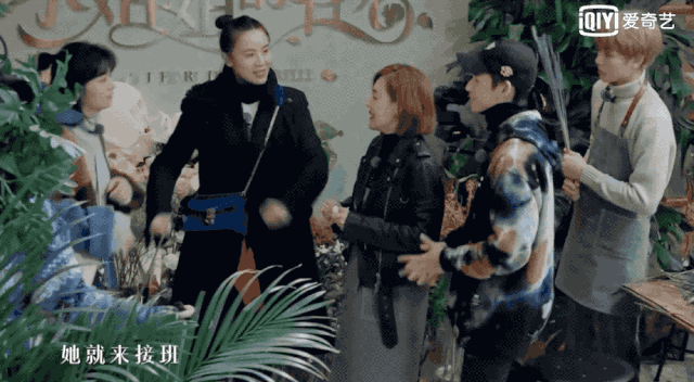 欧阳妮妮|急功近利的欧阳三姐妹