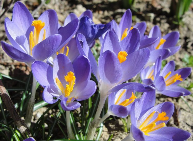 生肖■4月开始财神赐财,贵人赐运,一辈子衣食无忧的四大生肖