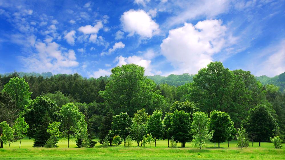 |为什么以前大部分人都有虱子，现在却没有了，虱子是什么东西？