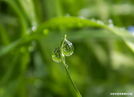 射手座|8月份开始，4属相吉星伴身，财源滚滚喜临门，迎接崭新生活