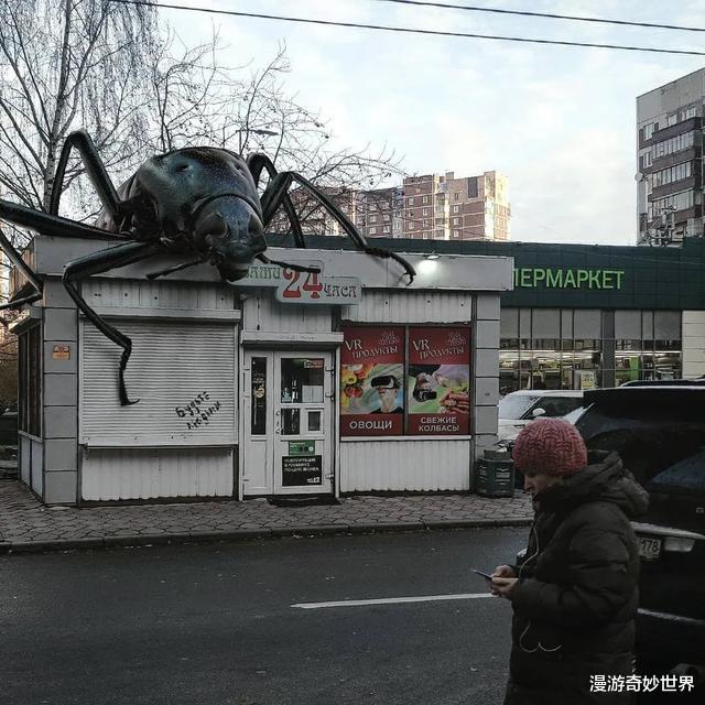 |动物们变大几百倍后的世界,巨物恐惧症患者:要窒息了