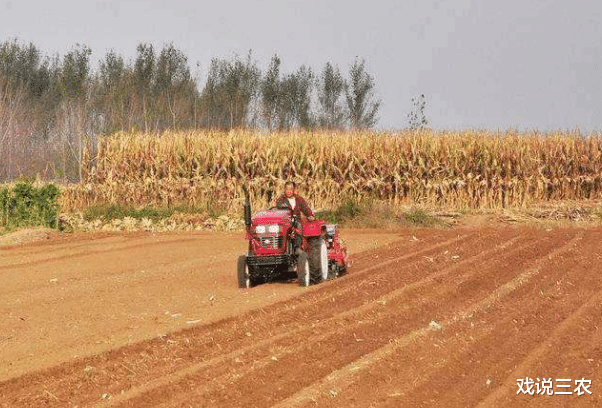 戏说三农|推动一户一田制，是全部进行“归并”吗？每亩还补偿5万？真的吗