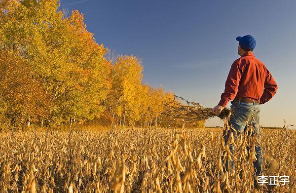 交易|四大粮商控制全球80%粮食交易，3家美国公司，布局中国多年