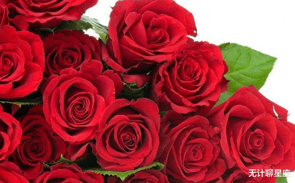 狮子座|下半年，魅力四射的这4个星座，将有新恋情出现，桃花待开