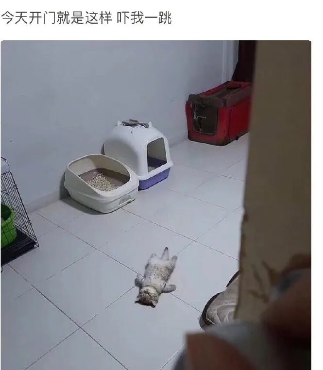 豪车@“除了装X，这辆豪车还有啥功能？”哈哈哈结果网友脑洞大开...