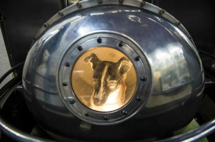 【太空】还记得那只太空猴吗?回到地面后经历怪异事件,结局让人不敢多想