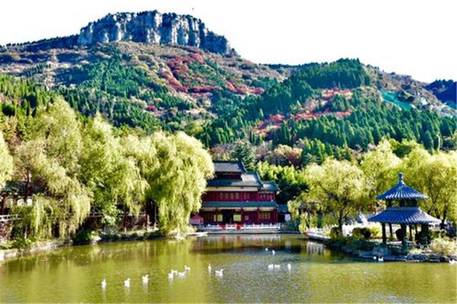 『济南』踏青胜地，带着家人和朋友，一起欣赏这场花的盛宴