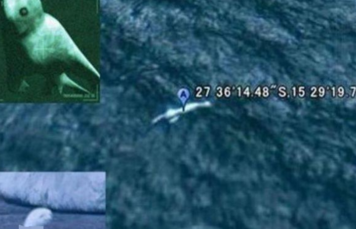 南极神秘怪物,鱼头人身无前肢,或是全新物种?