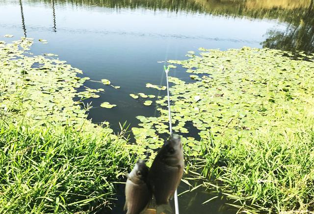 【】新手钓友牢记钓鱼7忌，虽然不能助你多钓鱼，但也能不让你放炮