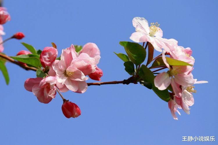 「运势」下周起运势大开，吉星傍身，横财大发，四属相家业昌盛，钱财无忧