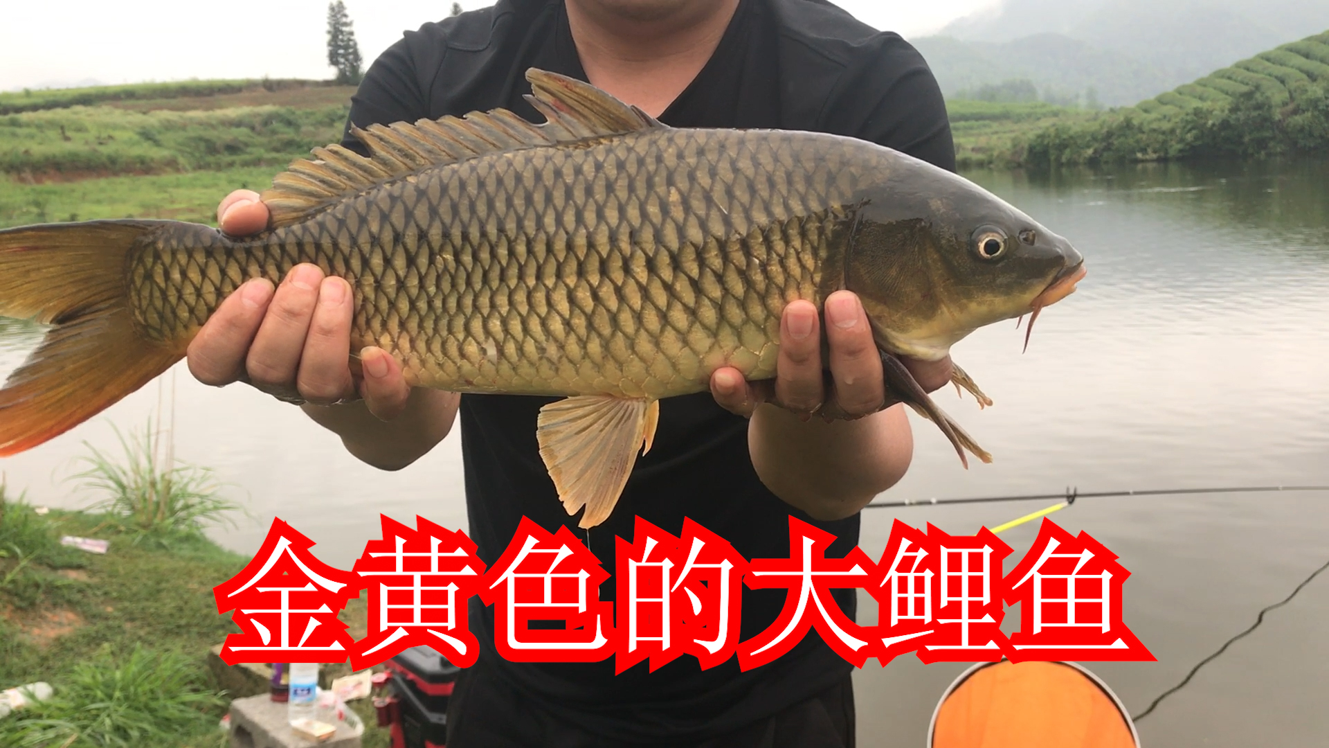 @野外垂钓注意事项，以免一点小事情影响钓鱼整天心情