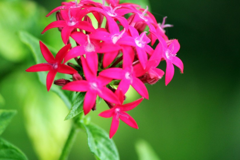 『』4月起一切都变得顺利起来，好事不断涌现，收入持续增加的四属相