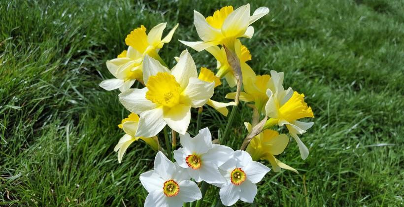 狮子座|10月大吉大利的4大星座：喜上眉梢，财运走俏，事业迎来爆发