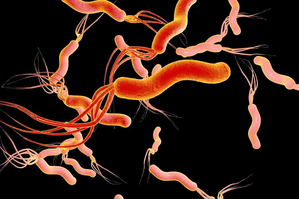 幽门螺旋杆菌|感染了幽门螺旋杆菌，这4种食物真要少吃了，否则细菌超标很伤胃