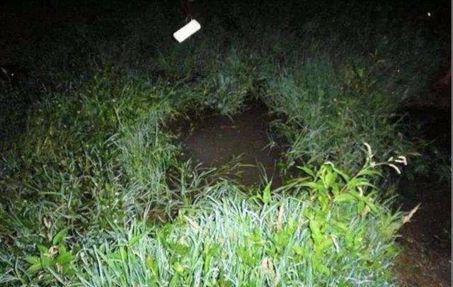 「雄黄酒」夜钓怎么才能不怕蛇咬?