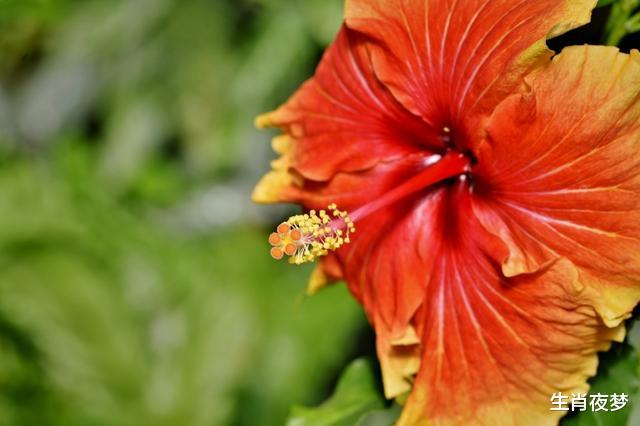 运势|8月贵人相助,熬走苦日子,赚到大笔钱财,好事不断的4个生肖