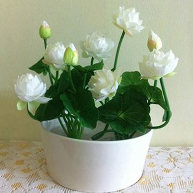 ■下周起好运来临，4属相有望梦想成真，事业有成，享受富贵生活