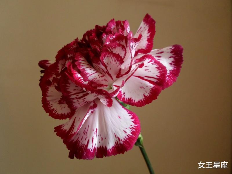 『运势』7月8号财运好到逆天，财神关照，横财大发3属相