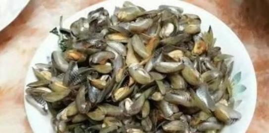 []五斤难吃到一两肉，南方人从小吃到大，北方却不认识