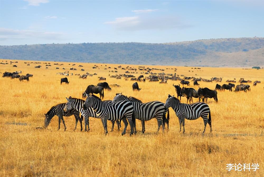 基因|为了繁殖，竟将自己变成雌性身上的器官，将软饭吃到极致