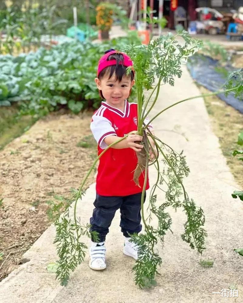 胡杏儿▲胡杏儿三口日常郊游,素颜杏儿皮肤蜡黄没气色,生完娃果然老不少