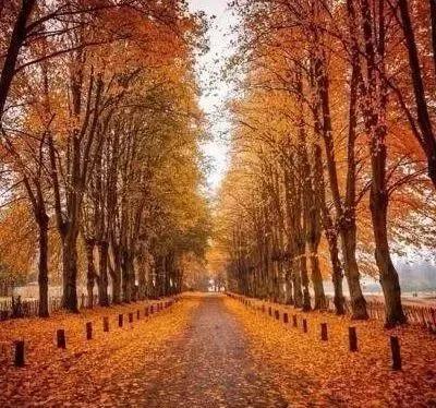 |心理测试：4条路，你最想走哪条？测你这辈子还能不能出人头地