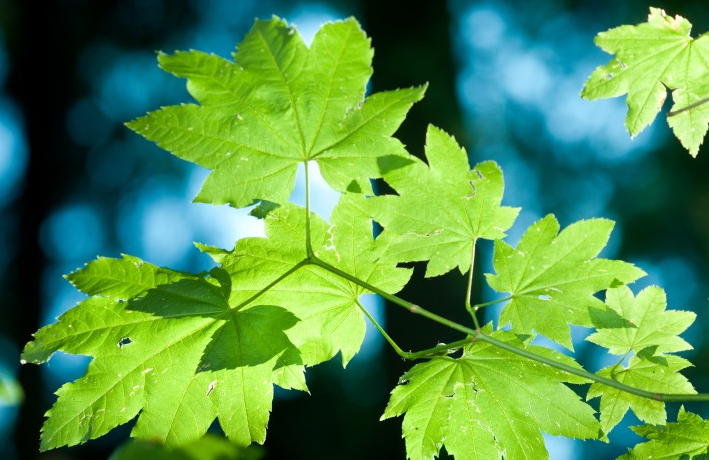 大旺|8月开始横财一路大旺，3大属相脚踏祥云，事业发达，求财得财