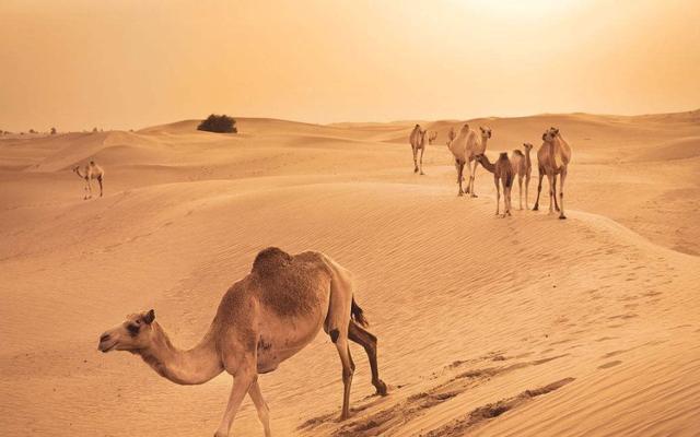 『卫星』古代人没有卫星,如何测量地球的直径?先民的智慧果然很高