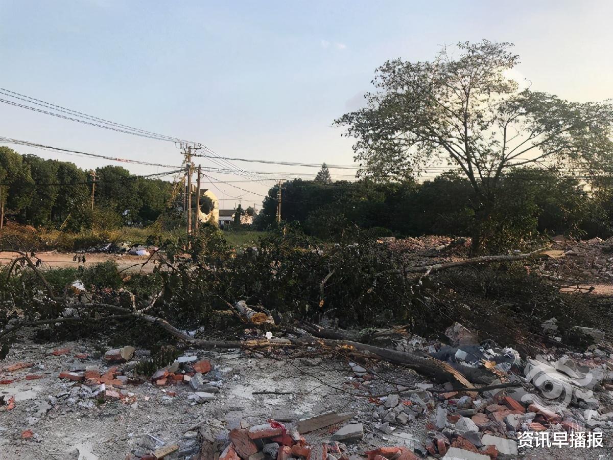 资讯早播报|苏州黄桥一棵满载50年回忆的柿子树，挂满果实突然被砍……